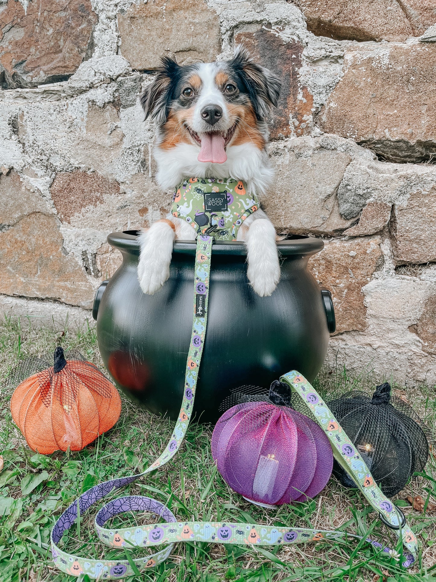 Dog Adjustable Harness - Haunt Mess