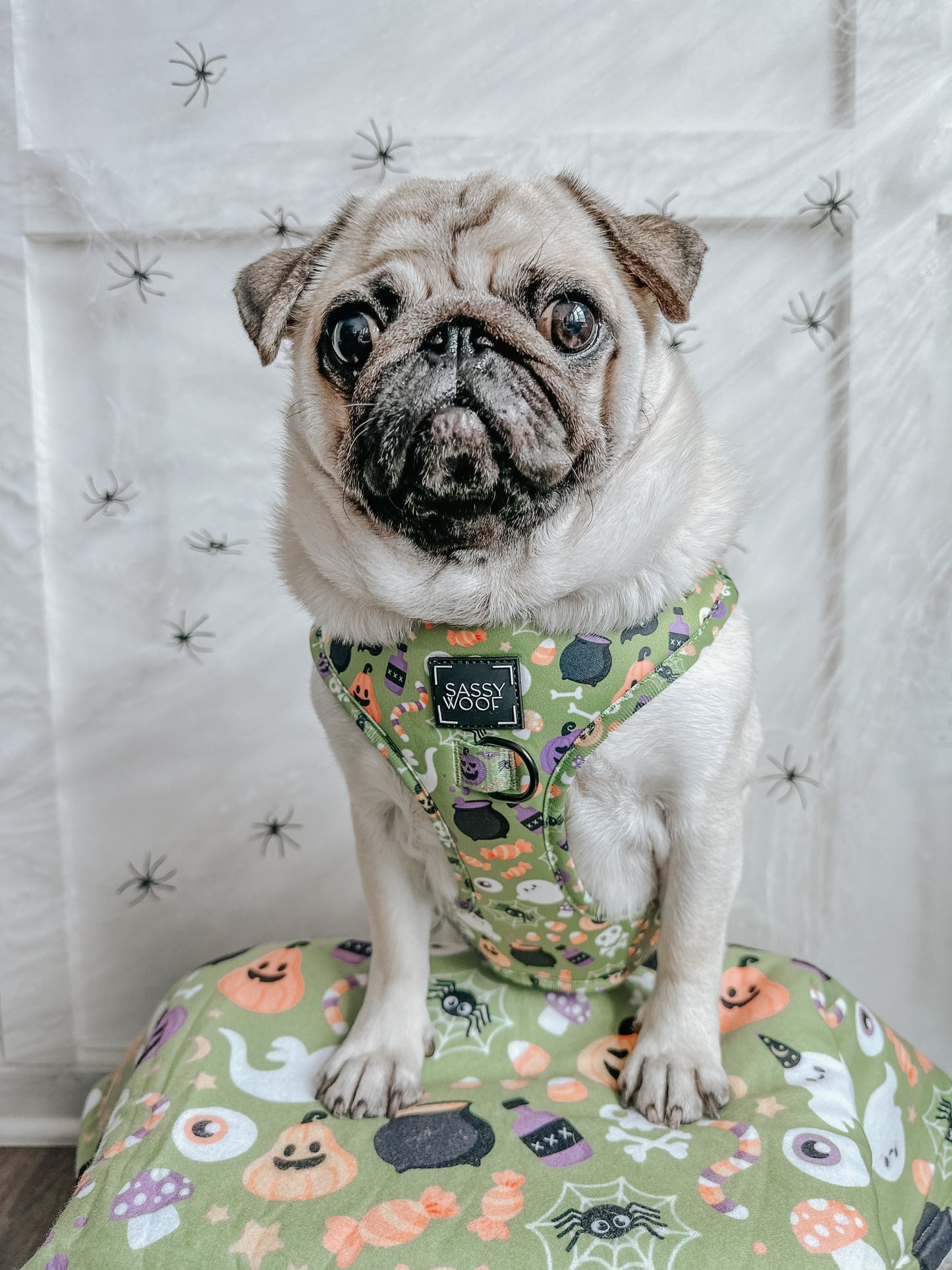 Dog Adjustable Harness - Haunt Mess