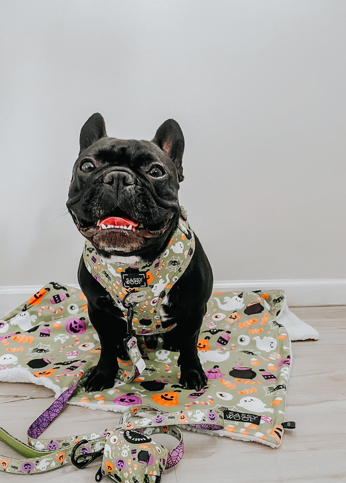 Dog Adjustable Harness - Haunt Mess