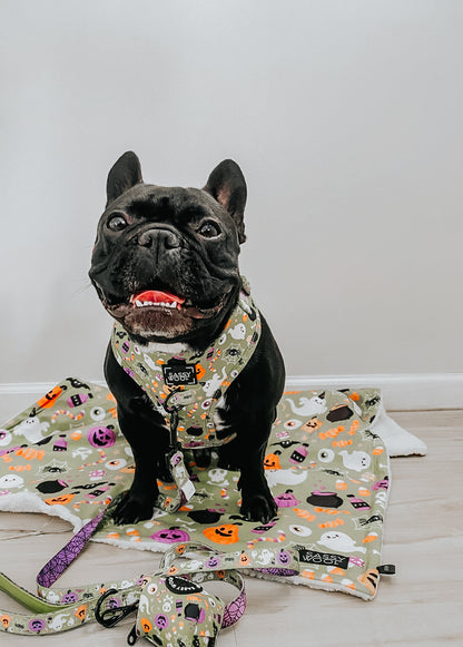 Dog Adjustable Harness - Haunt Mess