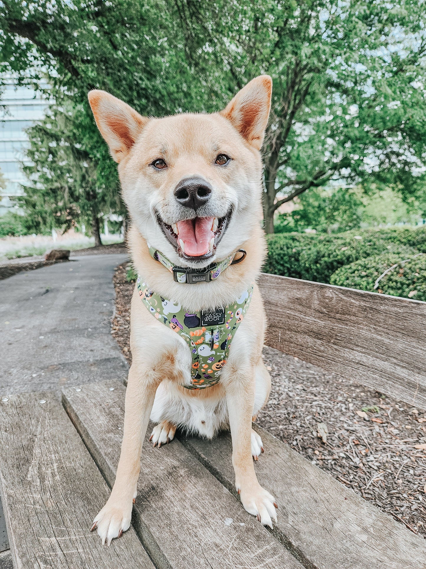 Dog Adjustable Harness - Haunt Mess
