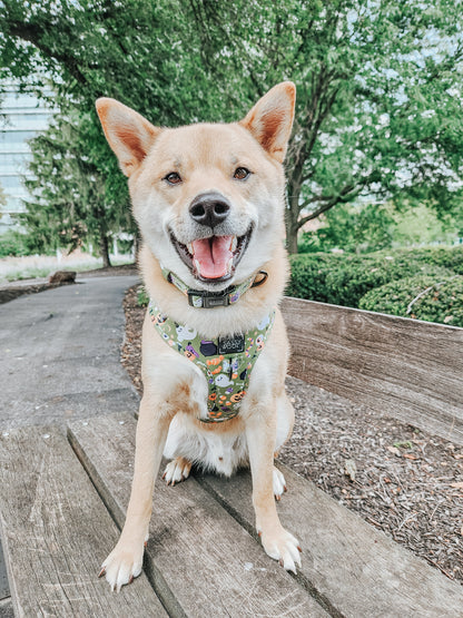 Dog Adjustable Harness - Haunt Mess