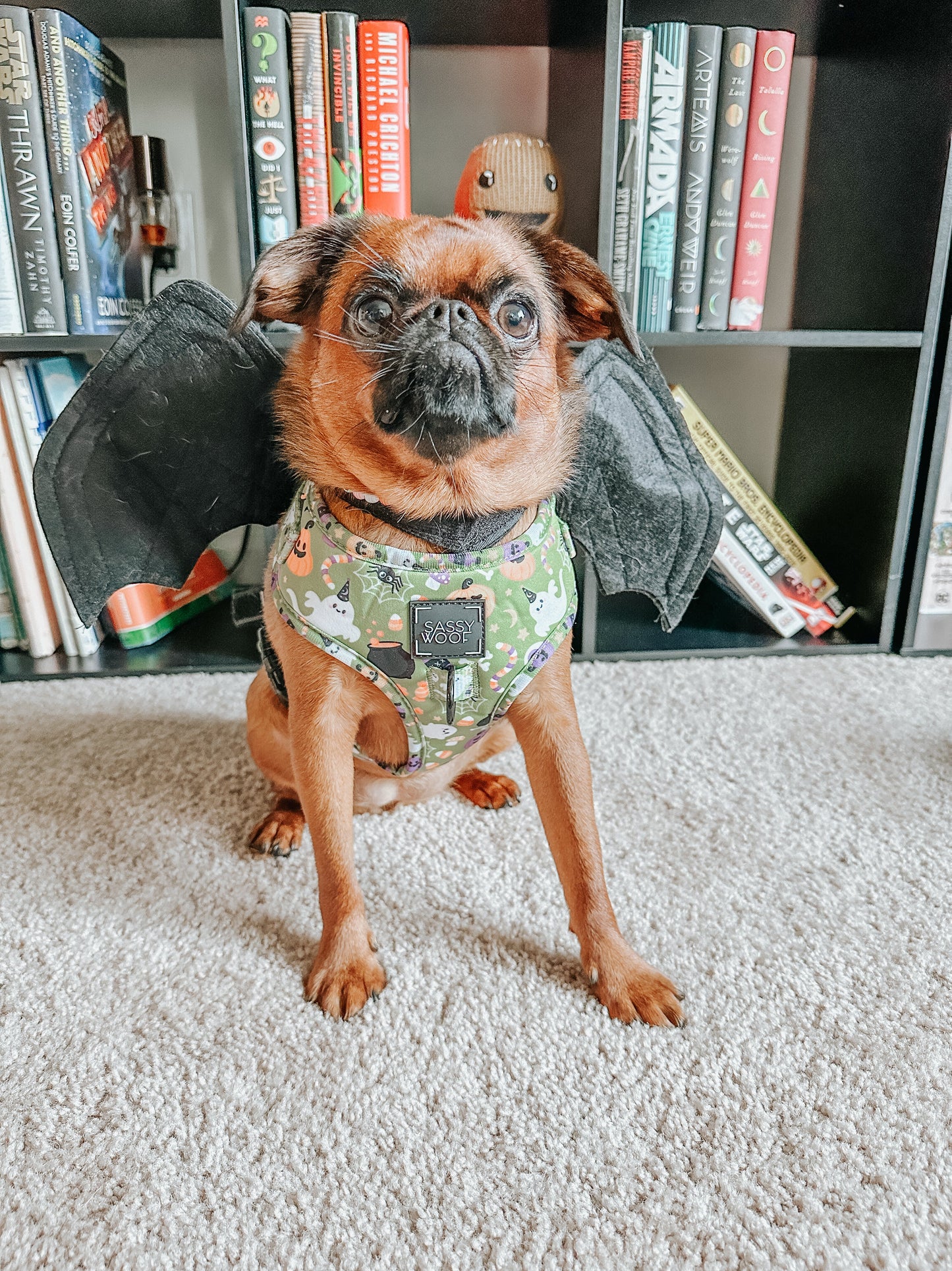 Dog Adjustable Harness - Haunt Mess