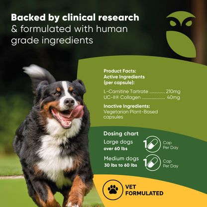 Joint & Muscle Health (Medium & Large Dogs)