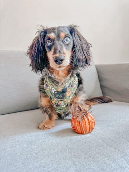 Dog Adjustable Harness - Haunt Mess