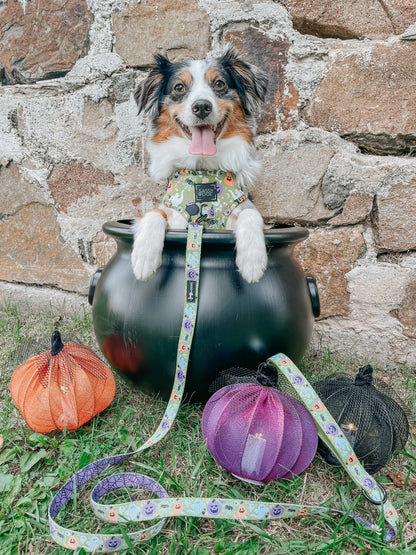 Dog Adjustable Harness - Haunt Mess