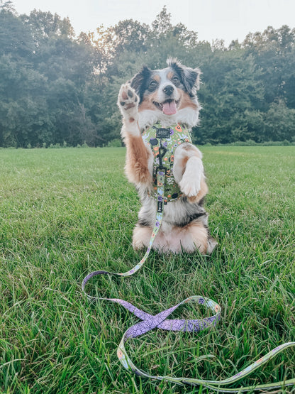Dog Adjustable Harness - Haunt Mess
