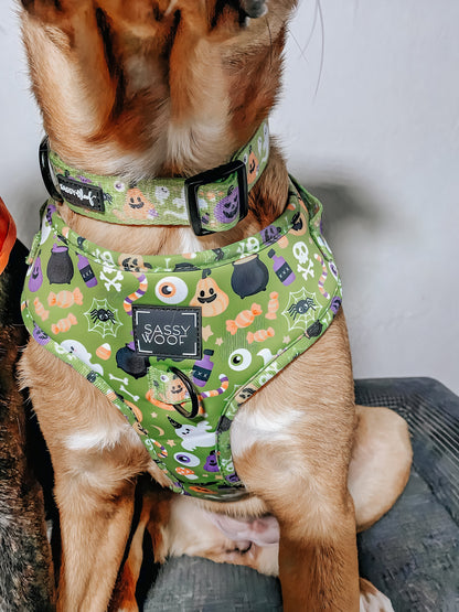 Dog Adjustable Harness - Haunt Mess