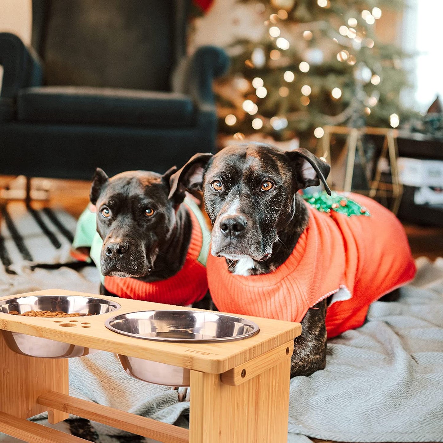 Elevated Dog Bowls,Raised Dog Bowl Stand with 2 Stainless Steel Bowls,Elevated Raised Dog Bowls for Large Medium Small Sized Dogs